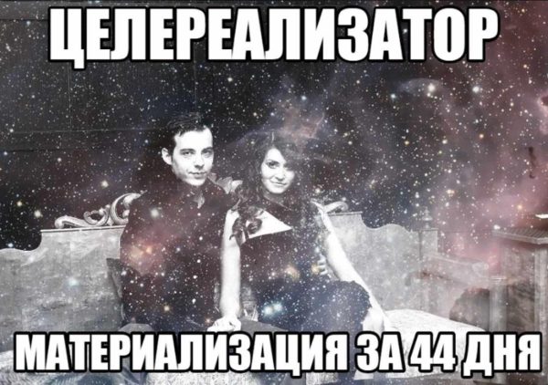 Целереализатор 1.0. Материализация целей за 44 дня (Нико Бауман)