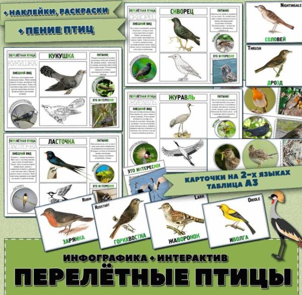 Перелётные птицы (Елена Солдатова)